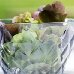 Koziol Crystal S Serving Bowl 500 Ml