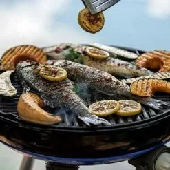 Barbacoa Cadac Carri Chef 50 -Cocinas y barbacoas Ventas 511064 3571555