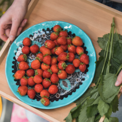 Rebel Outdoor Plato De Postre Para Exteriores Rebel 22 Cm Amarillo