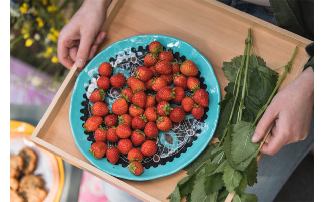 Rebel Outdoor Plato De Postre Para Exteriores Rebel 22 Cm Marrón 3 Rebel Outdoor Plato De Postre Para Exteriores Rebel 22 Cm Marrón