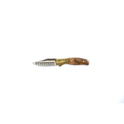 Juego De 4 Cuchillos Homeys 19,8 Cm Plata/oro